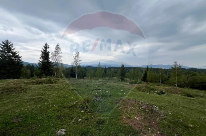 Teren extravilan parcelabil Călățele Pădure, zona Dealu Negru anunturi imobiliare Cluj