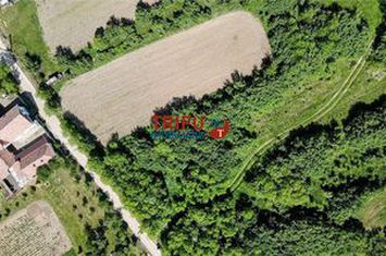Teren Intravilan de vanzare CENTRAL - Alba anunturi imobiliare Alba