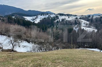Teren de vanzare BRAN - Brasov anunturi imobiliare Brasov