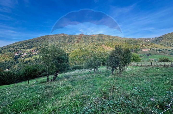 Teren 1812 mp de vânzare | Muntele Rece, cadru liniștit, Comision 0% anunturi imobiliare Cluj