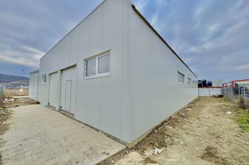 Spațiu industrial de inchiriat IASI - Iasi anunturi imobiliare Iasi