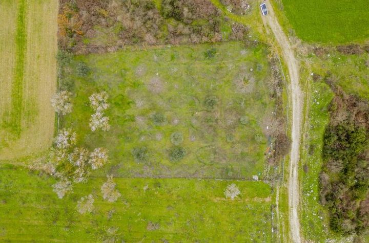 Teren agricol 3125 mp în Mesotopos, Kavala anunturi imobiliare Grecia