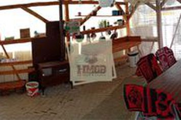 Teren Extravilan de vanzare SURA MARE - Sibiu anunturi imobiliare Sibiu