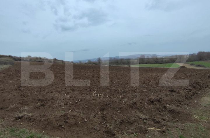 Teren de vanzare VINTU DE JOS - Alba anunturi imobiliare Alba