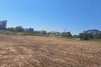 MIRASLAU-ASTRELOR-TEREN INTRAVILAN-3900 MP anunturi imobiliare Bucuresti