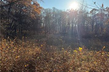 Teren Intravilan de vanzare FAGET  - Cluj anunturi imobiliare Cluj