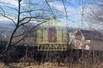 Teren Barnova  ! anunturi imobiliare Iasi