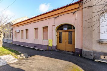 Locuință spațioasă cu grădină mare în Aradul Nou, calea Timișorii anunturi imobiliare Arad