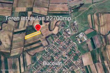 Bucovat - Lot Intravilan 2.27 Ha, PUZ inceput, Rezidential + Servicii anunturi imobiliare Timis