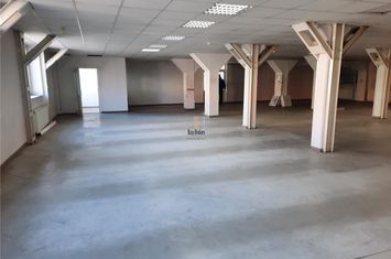 Spațiu industrial de inchiriat VIILE SIBIULUI - Sibiu anunturi imobiliare Sibiu