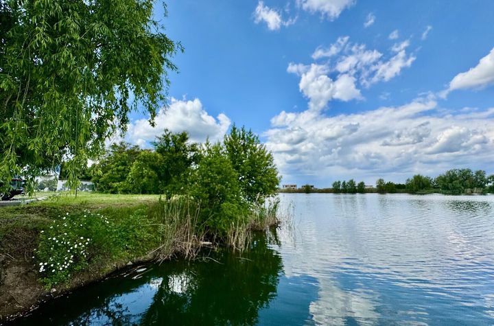 Teren intravilan de 1500 mp cu deschidere la Lacul Păsărea – Tunari anunturi imobiliare Bucuresti
