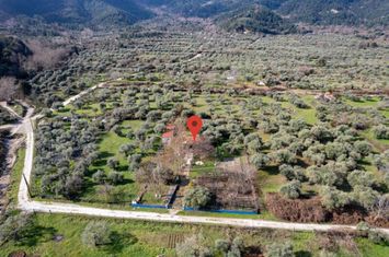 Complex de 3 locuințe pe teren 2500 mp, Skala Potamias anunturi imobiliare Grecia