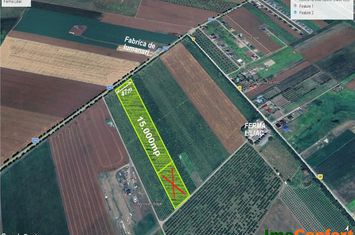 Teren Extravilan de vanzare MIROSLAVA - Iasi anunturi imobiliare Iasi