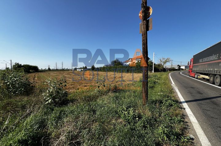 Teren între Cordun și E85 anunturi imobiliare Neamt