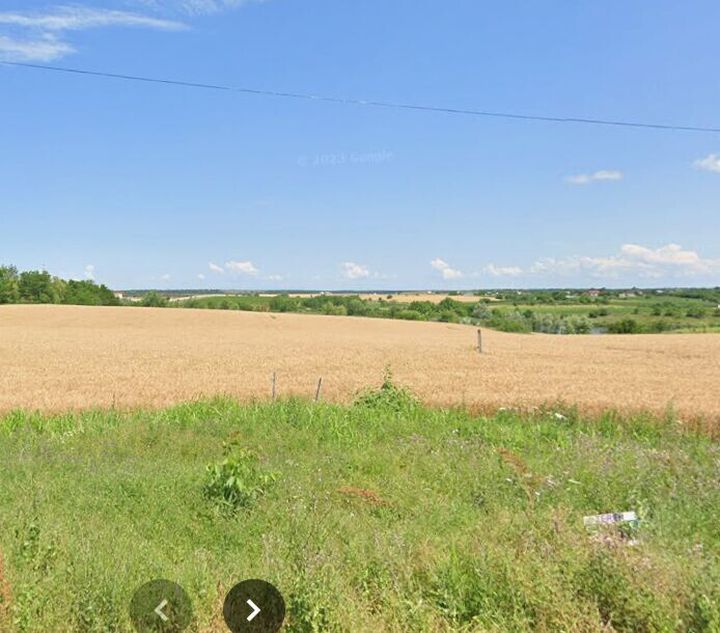 Teren extravilan 25.900 m.p. - Moara Vlasiei anunturi imobiliare Bucuresti