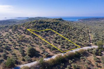 Teren construibil 4.570 mp în Astrida, Thassos anunturi imobiliare Grecia