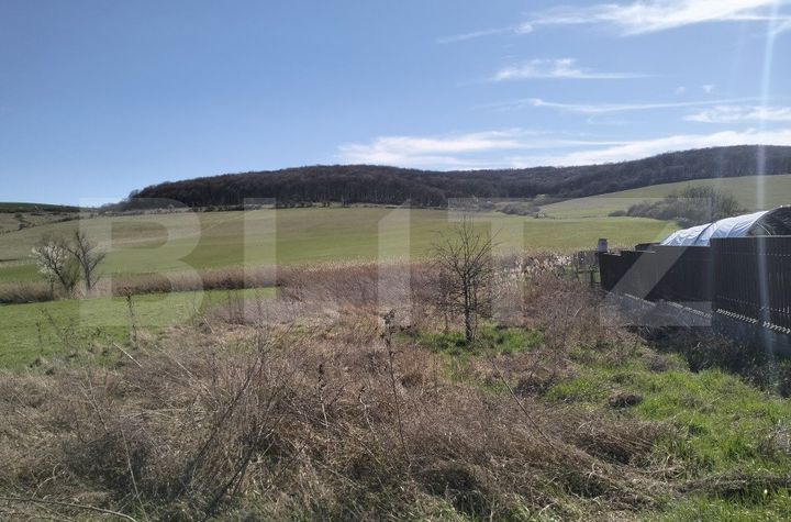 Teren de vanzare SANGEORGIU DE MURES - Mures anunturi imobiliare Mures
