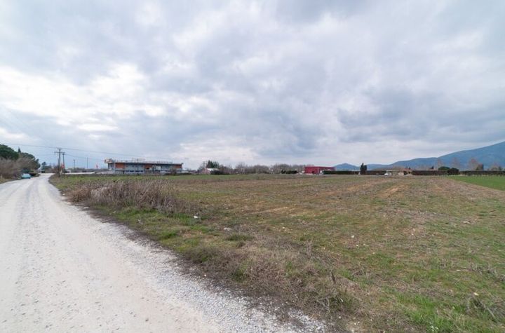 Teren construibil 11.325 mp în Polistilo, Kavala anunturi imobiliare Grecia