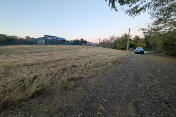 Teren de vanzare MAGURA - Bacau anunturi imobiliare Bacau