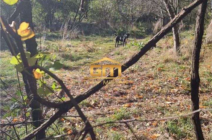 Teren Intravilan de vanzare BAILE OLANESTI - Valcea anunturi imobiliare Valcea