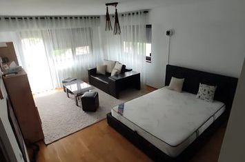 Garsonieră de inchiriat IASI - Iasi anunturi imobiliare Iasi