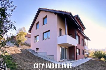 Vilă - 6 camere de vanzare FELEACU - Cluj anunturi imobiliare Cluj