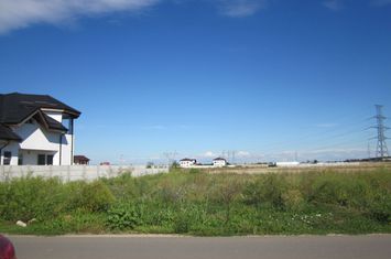 Domnesti-Crengutei-Hera anunturi imobiliare Bucuresti