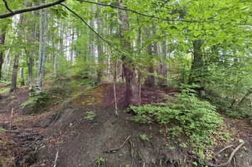 Teren intravilan 720 mp Sinaia anunturi imobiliare Prahova