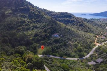 Teren construibil 4493.37 mp în Chrisi Ammoudia anunturi imobiliare Grecia