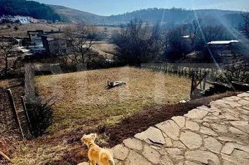 Vilă - 6 camere de vanzare FLORESTI - Cluj anunturi imobiliare Cluj