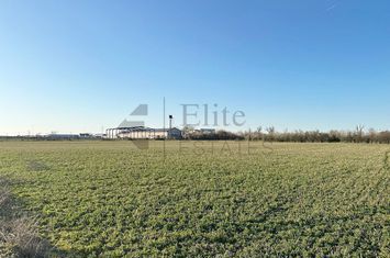 Teren industrial Santandrei anunturi imobiliare Bihor
