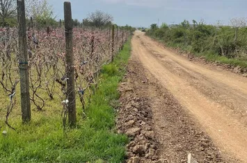 TEREN INTRAVILAN-500 MP-STR.SCOLII anunturi imobiliare Bucuresti