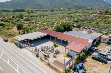 Spațiu comercial 57,3 mp — Paralia Vrasnon anunturi imobiliare Grecia
