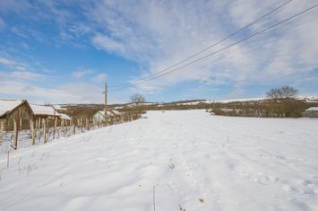 Teren de vanzare RUSI - Sibiu anunturi imobiliare Sibiu