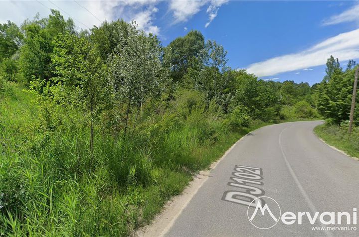 Teren Intravilan de vanzare SOTRILE - Prahova anunturi imobiliare Prahova