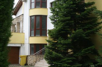 Vanzare/inchiriere vila superba D+P+1+M gradina garaj piscina teren 2500mp Pipera padure anunturi imobiliare Bucuresti