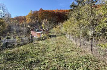 Casă - 2 camere de vanzare MORENI - Dambovita anunturi imobiliare Dambovita