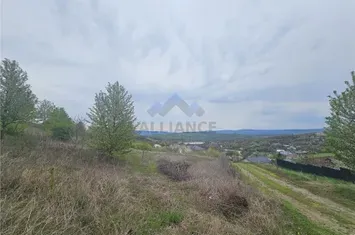 Teren Intravilan de vanzare CIURBESTI - Iasi anunturi imobiliare Iasi