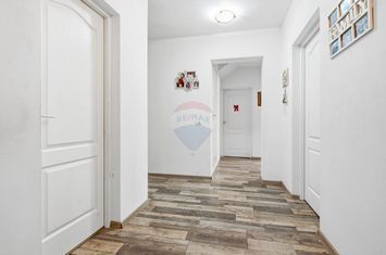 Casă P+M cu teren generos, zonă liniștită – Holboca. Comision 0% anunturi imobiliare Iasi