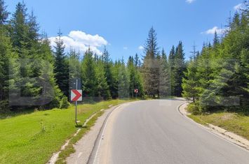 Teren de vanzare TARGOVISTE - Dambovita anunturi imobiliare Dambovita