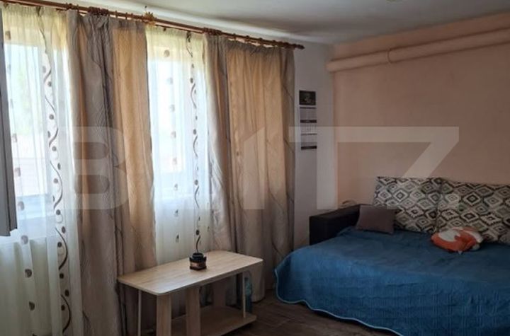 Garsonieră de vanzare FRUMOASA - Iasi anunturi imobiliare Iasi