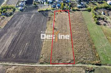 Teren de vanzare COSITENI - Iasi anunturi imobiliare Iasi