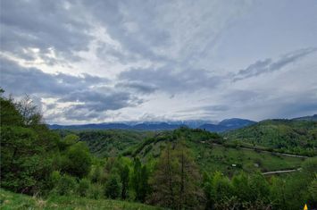 Teren Intravilan de vanzare BRAN - Brasov anunturi imobiliare Brasov