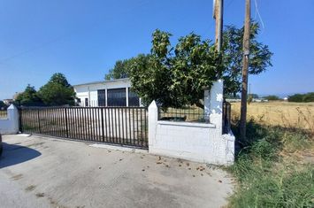 Spațiu profesional 372 mp la km 6 Serres – Thessalonikis anunturi imobiliare Grecia
