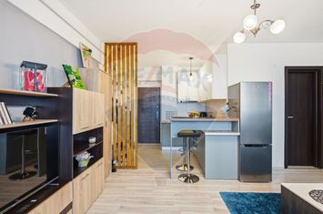 Apartament 1 cameră de închiriat – 0% Comision anunturi imobiliare Iasi