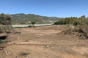 Teren agricol 6.700 mp în Elaiochori, Kavala anunturi imobiliare Grecia