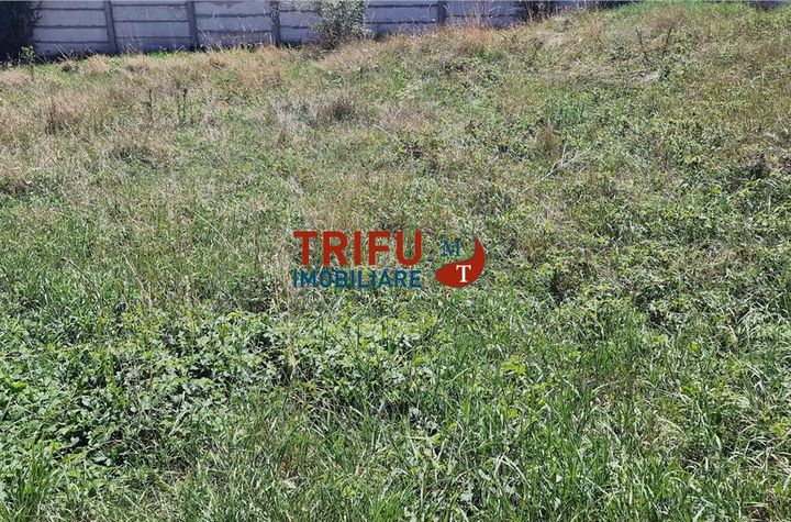 Teren Intravilan de vanzare CETATE - Alba anunturi imobiliare Alba