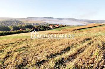 Teren 25.000 mp.  Comuna Voiniceni ,12 euro mp.comision ZERO anunturi imobiliare Mures