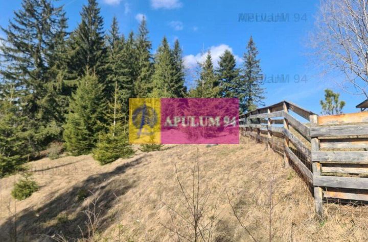 Teren de vânzare în Predeal - Zona Forban anunturi imobiliare Brasov