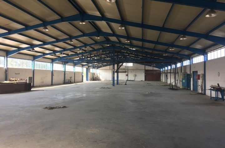 Spațiu industrial 1.600 mp în Λευκώνας Κέντρο anunturi imobiliare Grecia